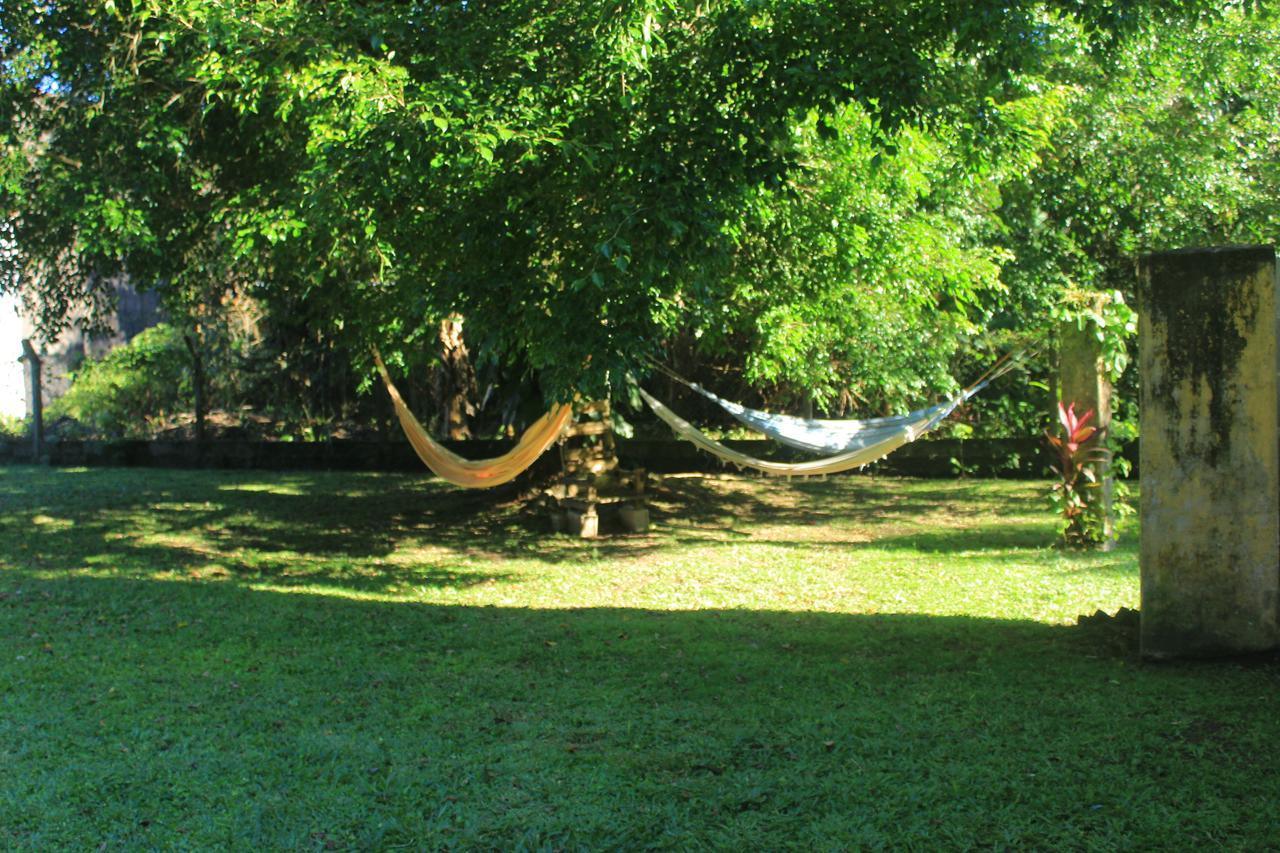 Junglez Eco Hostel Guarau Exteriér fotografie
